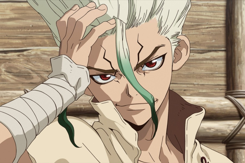Dr. Stone